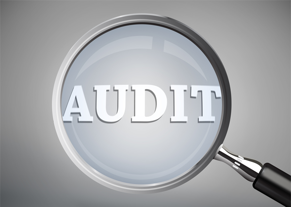 AUD201 Online - Internal Auditing