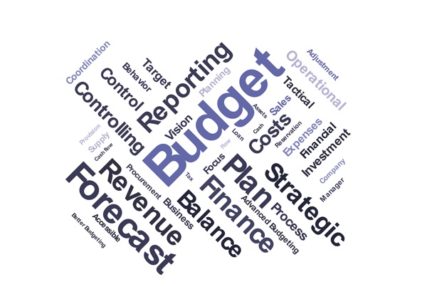 ACT104 Online - Budget & Financial Planning